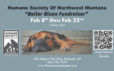 Boiler Blues Fundraiser News Links