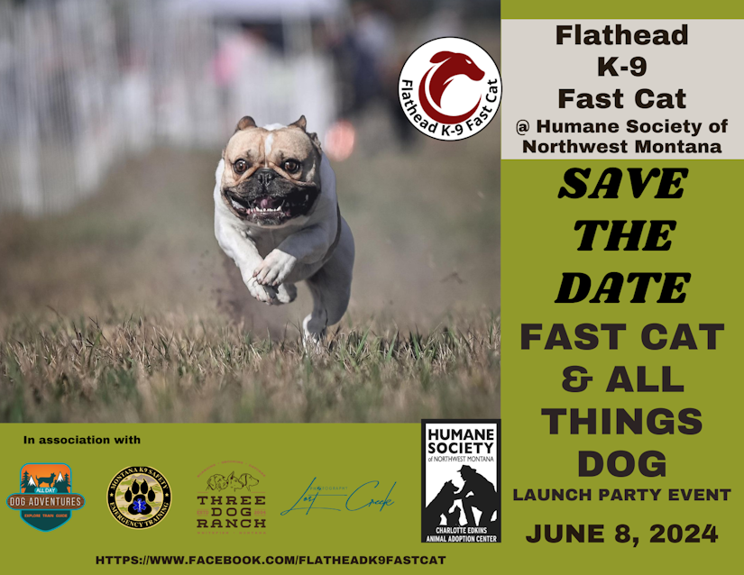 Flathead K-9 Fast Cat Starts June 8